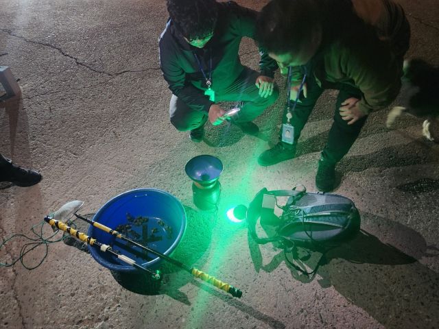 평택해양경찰서가 지닌해 실뱀장어 불법어업 현장을 단속하고 있다. 평택해양경찰서 제공