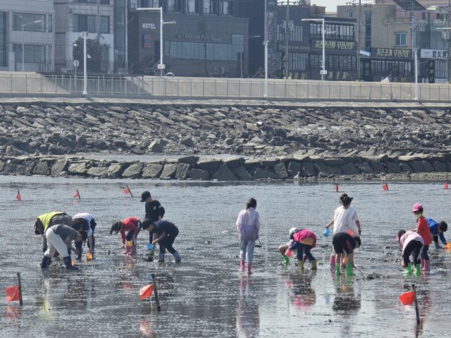 오이도 어촌체험휴양마을 갯벌체험 현장. 시흥시 제공