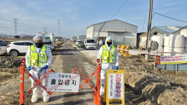 26일 구제역 양성 판정을 받은 고양시 한우 농가 앞에서 방역당국 관계자들이 출입을 통제하고 있다. 고양특례시 제공