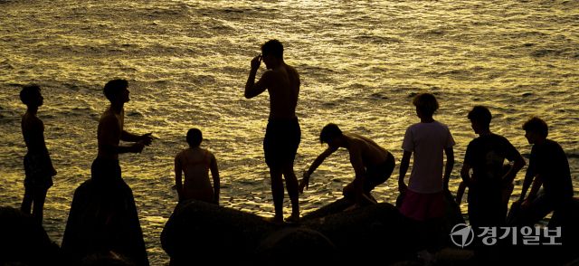 금빛 물결 바닷가를 향해~ '풍덩' [포토뉴스]