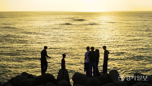 금빛 물결 바닷가를 향해~ '풍덩' [포토뉴스]