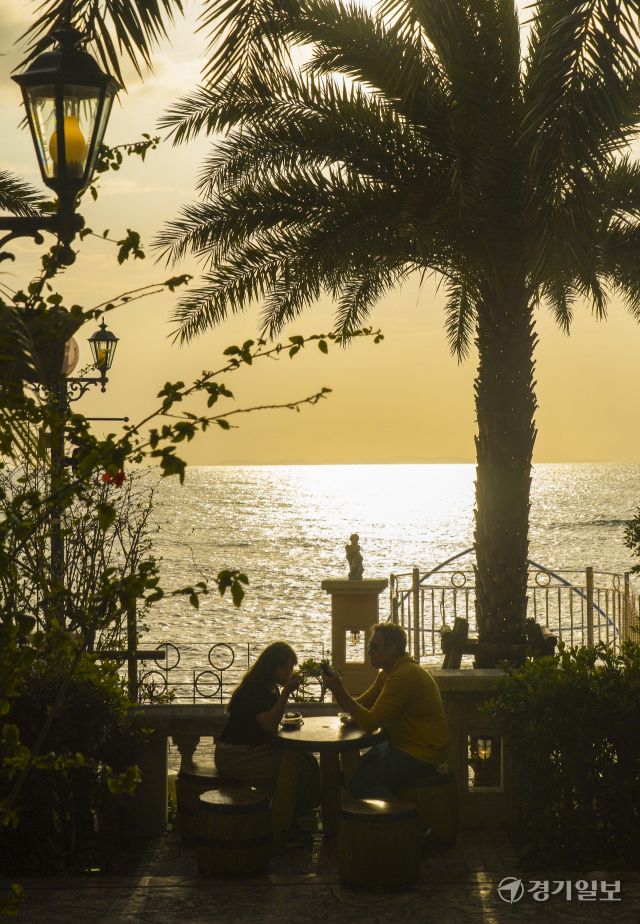 금빛 물결 바닷가를 향해~ '풍덩' [포토뉴스]