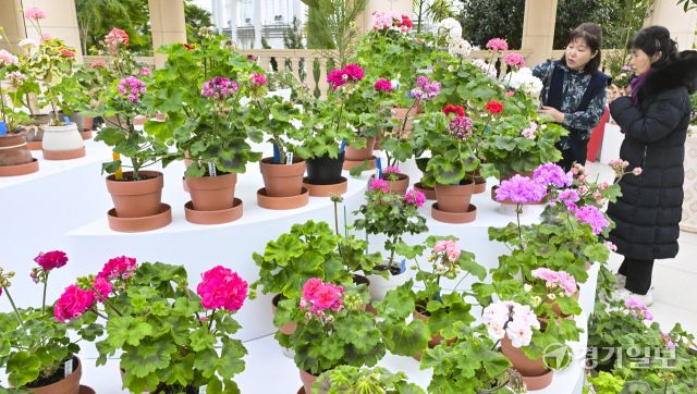 수원 일월수목원, 입춘맞아 '지금, 우리는 봄' 전시 [포토뉴스]