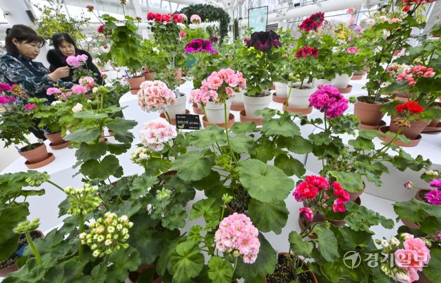 수원 일월수목원, 입춘맞아 '지금, 우리는 봄' 전시 [포토뉴스]