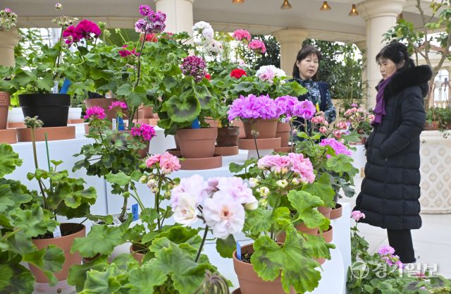 수원 일월수목원, 입춘맞아 '지금, 우리는 봄' 전시 [포토뉴스]
