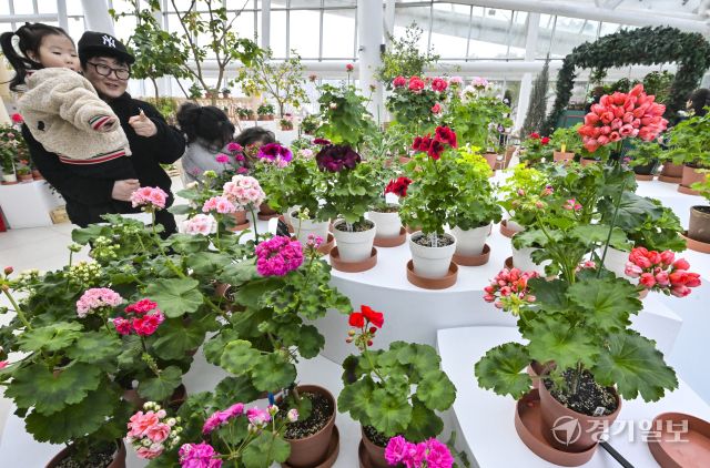 수원 일월수목원, 입춘맞아 '지금, 우리는 봄' 전시 [포토뉴스]