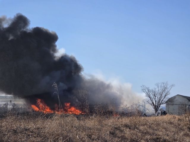 고양 비닐하우스 화재. 연합뉴스