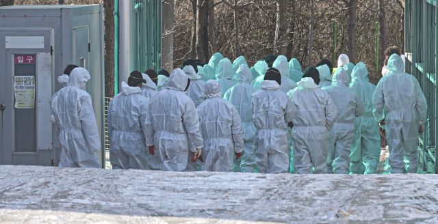 포천 ASF 발생 농가, 살처분 인력 투입 [포토뉴스]