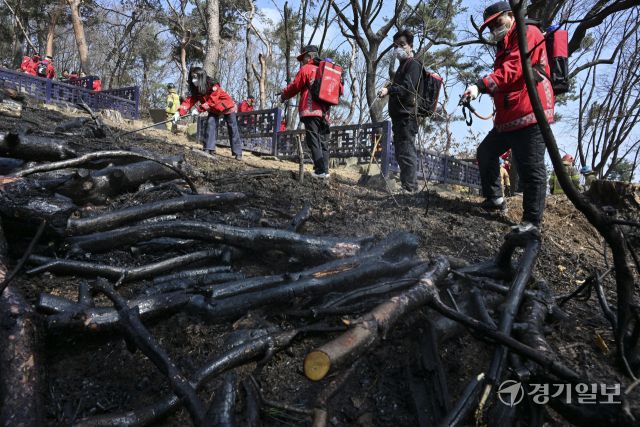 12일 오전 11시 10분께 수원특례시 팔달산 공원에서 화재가 발생해 소방당국이 장비 25대와 인력 75명을 동원해 진화에 나섰다. 불은 오후 12시 32분께 완전히 진화됐다. 이번 화재는 서장대 등산로 입구와 중앙도서관 인근, 팔달산 정상 인근, 팔달약수터 인근 등 여러 지점에서 발생했으며, 인명 피해는 없는 것으로 확인됐다. 경찰은 방화 용의자인 40대 남성을 현장에서 붙잡아 조사 중이다. 사진은 소방관과 의용소방대원들이 화재를 진압하는 모습. 홍기웅 기자.