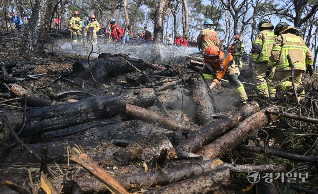 12일 오전 11시 10분께 수원특례시 팔달산 공원에서 화재가 발생해 소방당국이 장비 25대와 인력 75명을 동원해 진화에 나섰다. 불은 오후 12시 32분께 완전히 진화됐다. 이번 화재는 서장대 등산로 입구와 중앙도서관 인근, 팔달산 정상 인근, 팔달약수터 인근 등 여러 지점에서 발생했으며, 인명 피해는 없는 것으로 확인됐다. 경찰은 방화 용의자인 40대 남성을 현장에서 붙잡아 조사 중이다. 사진은 소방관과 의용소방대원들이 화재를 진압하는 모습. 홍기웅 기자.