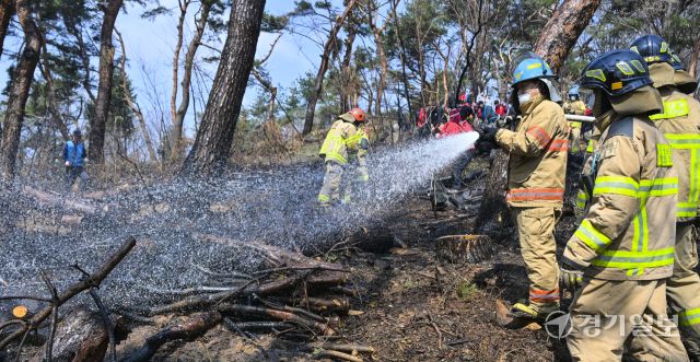 12일 오전 11시 10분께 수원특례시 팔달산 공원에서 화재가 발생해 소방당국이 장비 25대와 인력 75명을 동원해 진화에 나섰다. 불은 오후 12시 32분께 완전히 진화됐다. 이번 화재는 서장대 등산로 입구와 중앙도서관 인근, 팔달산 정상 인근, 팔달약수터 인근 등 여러 지점에서 발생했으며, 인명 피해는 없는 것으로 확인됐다. 경찰은 방화 용의자인 40대 남성을 현장에서 붙잡아 조사 중이다. 사진은 소방관과 의용소방대원들이 화재를 진압하는 모습. 홍기웅 기자.
