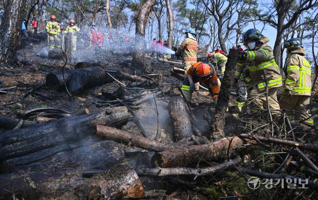 12일 오전 11시 10분께 수원특례시 팔달산 공원에서 화재가 발생해 소방당국이 장비 25대와 인력 75명을 동원해 진화에 나섰다. 불은 오후 12시 32분께 완전히 진화됐다. 이번 화재는 서장대 등산로 입구와 중앙도서관 인근, 팔달산 정상 인근, 팔달약수터 인근 등 여러 지점에서 발생했으며, 인명 피해는 없는 것으로 확인됐다. 경찰은 방화 용의자인 40대 남성을 현장에서 붙잡아 조사 중이다. 사진은 소방관과 의용소방대원들이 화재를 진압하는 모습. 홍기웅 기자.