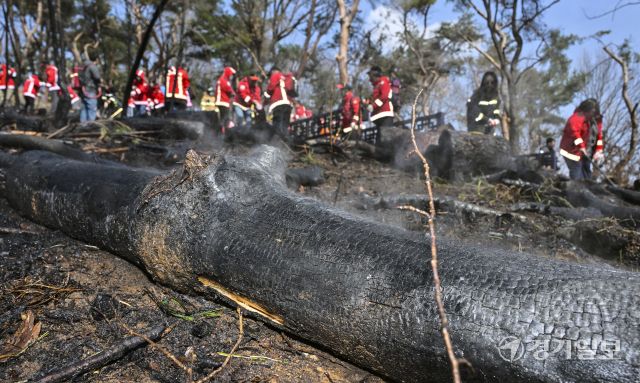 12일 오전 11시 10분께 수원특례시 팔달산 공원에서 화재가 발생해 소방당국이 장비 25대와 인력 75명을 동원해 진화에 나섰다. 불은 오후 12시 32분께 완전히 진화됐다. 이번 화재는 서장대 등산로 입구와 중앙도서관 인근, 팔달산 정상 인근, 팔달약수터 인근 등 여러 지점에서 발생했으며, 인명 피해는 없는 것으로 확인됐다. 경찰은 방화 용의자인 40대 남성을 현장에서 붙잡아 조사 중이다. 사진은 소방관과 의용소방대원들이 화재를 진압하는 모습. 홍기웅 기자.