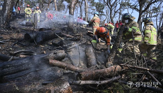 12일 오전 11시 10분께 수원특례시 팔달산 공원에서 화재가 발생해 소방당국이 장비 25대와 인력 75명을 동원해 진화에 나섰다. 불은 오후 12시 32분께 완전히 진화됐다. 이번 화재는 서장대 등산로 입구와 중앙도서관 인근, 팔달산 정상 인근, 팔달약수터 인근 등 여러 지점에서 발생했으며, 인명 피해는 없는 것으로 확인됐다. 경찰은 방화 용의자인 40대 남성을 현장에서 붙잡아 조사 중이다. 사진은 소방관과 의용소방대원들이 화재를 진압하는 모습. 홍기웅 기자.