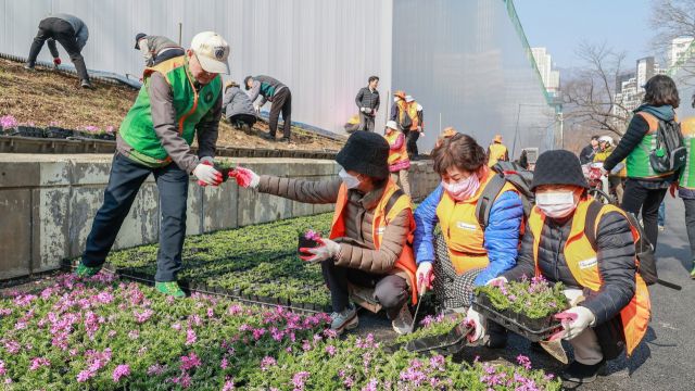 과천 굴다리길 ‘시민 참여 꽃길’로 새 단장. 과천시 제공