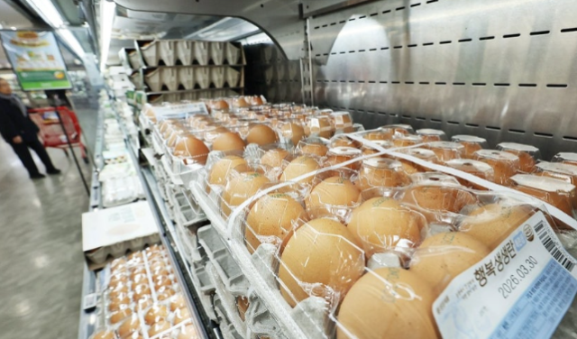 계란. 연합뉴스