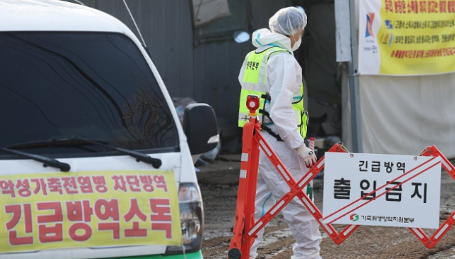 고병원성 조류인플루엔자 발생 농장 출입 통제. 연합뉴스