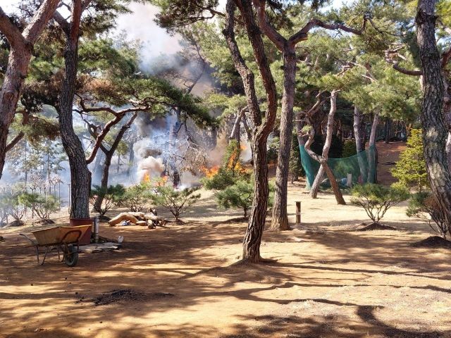 화재 현장. 경기도소방재난본부 제공