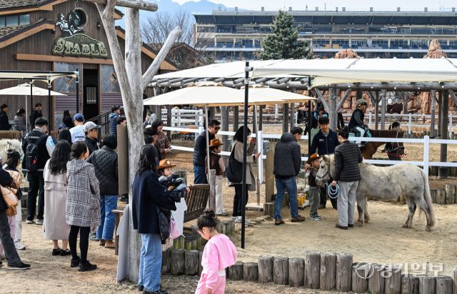 14일 오후 과천시 렛츠런파크 서울에서 열린 '2026 포니랜드 포니체험'을 찾은 어린이들이 말과 즐거운 시간을 보내고 있다. 이날부터 시작된 이번 체험 활동은 올해 연말까지 매주 토, 일요일 오전 10시부터 운영된 예정이다. '포니타기'와 '포니랑 놀기' 두 가지 프로그램이 진행되며 포니타기는 키 100㎝ 이하 초등학생만, 포니랑 놀기는 성인도 함께 즐길 수 있다. 윤원규기자