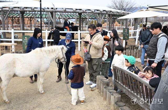 14일 오후 과천시 렛츠런파크 서울에서 열린 '2026 포니랜드 포니체험'을 찾은 어린이들이 말과 즐거운 시간을 보내고 있다. 이날부터 시작된 이번 체험 활동은 올해 연말까지 매주 토, 일요일 오전 10시부터 운영된 예정이다. '포니타기'와 '포니랑 놀기' 두 가지 프로그램이 진행되며 포니타기는 키 100㎝ 이하 초등학생만, 포니랑 놀기는 성인도 함께 즐길 수 있다. 윤원규기자