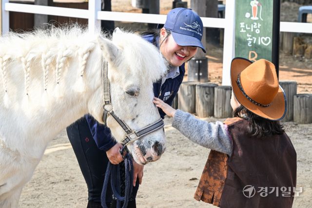 14일 오후 과천시 렛츠런파크 서울에서 열린 '2026 포니랜드 포니체험'을 찾은 어린이들이 말과 즐거운 시간을 보내고 있다. 이날부터 시작된 이번 체험 활동은 올해 연말까지 매주 토, 일요일 오전 10시부터 운영된 예정이다. '포니타기'와 '포니랑 놀기' 두 가지 프로그램이 진행되며 포니타기는 키 100㎝ 이하 초등학생만, 포니랑 놀기는 성인도 함께 즐길 수 있다. 윤원규기자
