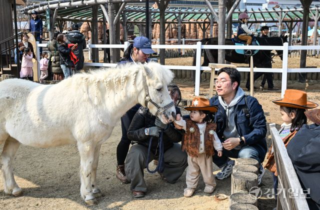 14일 오후 과천시 렛츠런파크 서울에서 열린 '2026 포니랜드 포니체험'을 찾은 어린이들이 말과 즐거운 시간을 보내고 있다. 이날부터 시작된 이번 체험 활동은 올해 연말까지 매주 토, 일요일 오전 10시부터 운영된 예정이다. '포니타기'와 '포니랑 놀기' 두 가지 프로그램이 진행되며 포니타기는 키 100㎝ 이하 초등학생만, 포니랑 놀기는 성인도 함께 즐길 수 있다. 윤원규기자