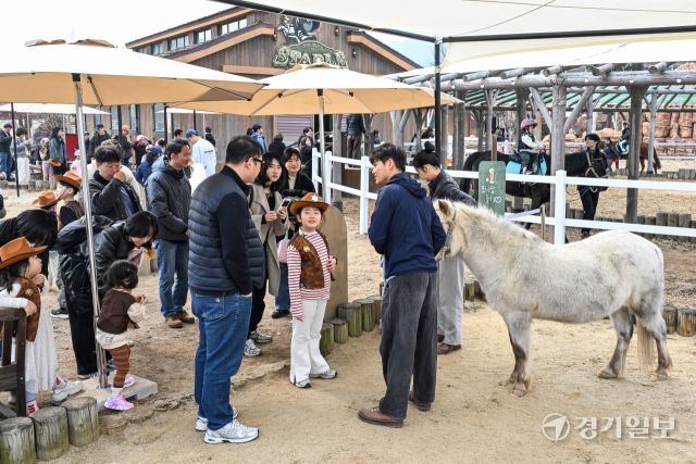 14일 오후 과천시 렛츠런파크 서울에서 열린 '2026 포니랜드 포니체험'을 찾은 어린이들이 말과 즐거운 시간을 보내고 있다. 이날부터 시작된 이번 체험 활동은 올해 연말까지 매주 토, 일요일 오전 10시부터 운영된 예정이다. '포니타기'와 '포니랑 놀기' 두 가지 프로그램이 진행되며 포니타기는 키 100㎝ 이하 초등학생만, 포니랑 놀기는 성인도 함께 즐길 수 있다. 윤원규기자