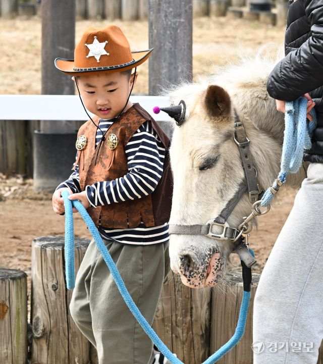 14일 오후 과천시 렛츠런파크 서울에서 열린 '2026 포니랜드 포니체험'을 찾은 어린이들이 말과 즐거운 시간을 보내고 있다. 이날부터 시작된 이번 체험 활동은 올해 연말까지 매주 토, 일요일 오전 10시부터 운영된 예정이다. '포니타기'와 '포니랑 놀기' 두 가지 프로그램이 진행되며 포니타기는 키 100㎝ 이하 초등학생만, 포니랑 놀기는 성인도 함께 즐길 수 있다. 윤원규기자