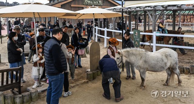 14일 오후 과천시 렛츠런파크 서울에서 열린 '2026 포니랜드 포니체험'을 찾은 어린이들이 말과 즐거운 시간을 보내고 있다. 이날부터 시작된 이번 체험 활동은 올해 연말까지 매주 토, 일요일 오전 10시부터 운영된 예정이다. '포니타기'와 '포니랑 놀기' 두 가지 프로그램이 진행되며 포니타기는 키 100㎝ 이하 초등학생만, 포니랑 놀기는 성인도 함께 즐길 수 있다. 윤원규기자