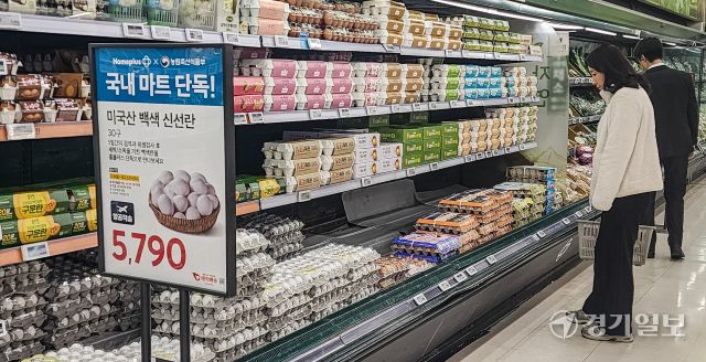 전국 곳곳에서 고병원성 조류인플루엔자(AI)가 발생하며 계란 수급 불안이 이어지고 있는 가운데 16일 오전 수원특례시 홈플러스 동수원점에서 고객들이 미국산 계란을 고르고 있다. 이날부터 홈플러스는 농림축산식품부와 함께 미국산 신선란 추가 수입 물량 중 2만 8천 판을 확보, 전국 대형마트와 일부 홈플러스 익스프레스 점포에서 단독 판매한다. 윤원규기자