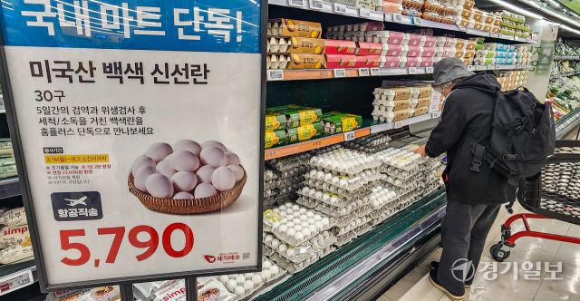 전국 곳곳에서 고병원성 조류인플루엔자(AI)가 발생하며 계란 수급 불안이 이어지고 있는 가운데 16일 오전 수원특례시 홈플러스 동수원점에서 고객들이 미국산 계란을 고르고 있다. 이날부터 홈플러스는 농림축산식품부와 함께 미국산 신선란 추가 수입 물량 중 2만 8천 판을 확보, 전국 대형마트와 일부 홈플러스 익스프레스 점포에서 단독 판매한다. 윤원규기자