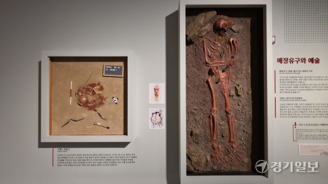 구석기 시대 사람들의 장례 의식과 사후 세계관이 담긴 매장문화 콘텐츠를 벽면에서 살펴볼 수 있다. 이나경기자