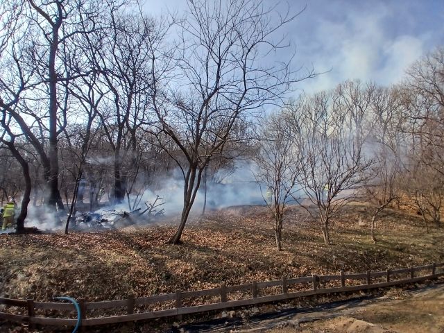 15일 오후 인천 강화군 한 야산에 불이 난 모습. 인천소방본부 제공