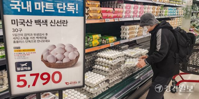 전국 곳곳에서 고병원성 조류인플루엔자(AI)가 발생하며 계란 수급 불안이 이어지고 있는 가운데 16일 오전 수원특례시 홈플러스 동수원점에서 고객들이 미국산 계란을 고르고 있다. 이날부터 홈플러스는 농림축산식품부와 함께 미국산 신선란 추가 수입 물량 중 2만 8천 판을 확보, 전국 대형마트와 일부 홈플러스 익스프레스 점포에서 단독 판매한다. 윤원규기자