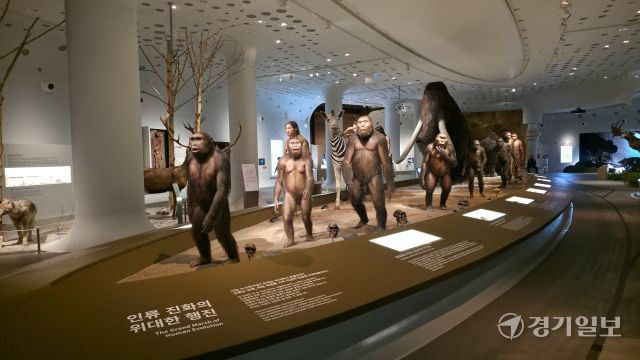 전곡선사박물관 상설전시실 구석기 코너를 전면 개편한 모습. 이나경기자