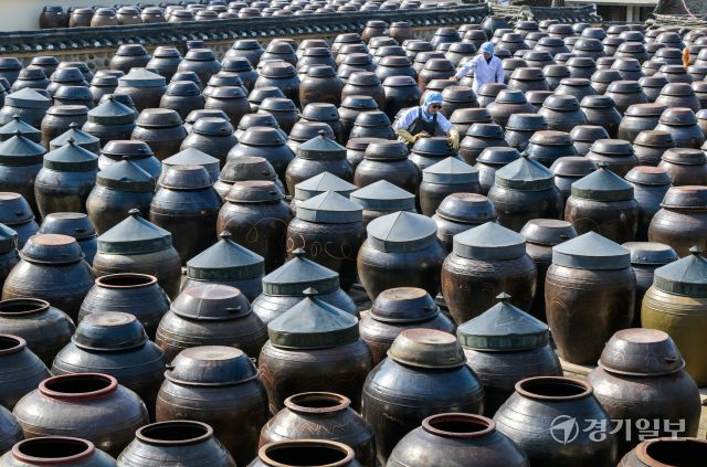 절기상 춘분을 사흘 앞둔 17일 오전 안성시 서일농원 중앙장독대에서 직원들이 항아리에 쌓인 먼지를 닦아내고 있다. 윤원규기자