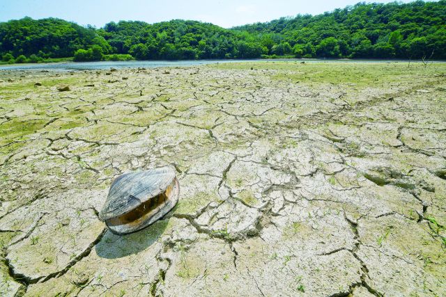 기사의 이해를 돕기 위한 이미지로 직접적 연관은 없습니다. 사진은 가뭄으로 바닥을 드러낸 경기도내 한 저수지의 모습. 경기일보DB