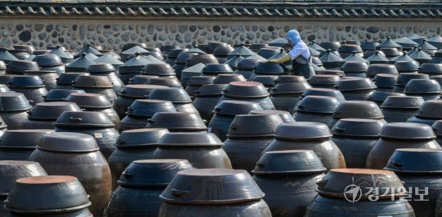 절기상 춘분을 사흘 앞둔 17일 오전 안성시 서일농원 중앙장독대에서 직원들이 항아리에 쌓인 먼지를 닦아내고 있다. 윤원규기자