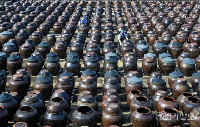 절기상 춘분을 사흘 앞둔 17일 오전 안성시 서일농원 중앙장독대에서 직원들이 항아리에 쌓인 먼지를 닦아내고 있다. 윤원규기자