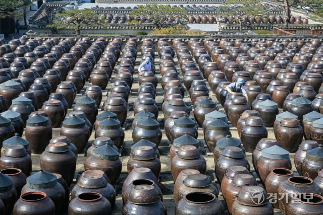 절기상 춘분을 사흘 앞둔 17일 오전 안성시 서일농원 중앙장독대에서 직원들이 항아리에 쌓인 먼지를 닦아내고 있다. 윤원규기자