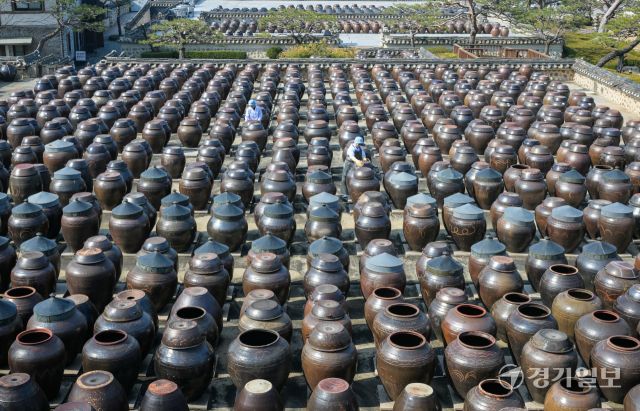 절기상 춘분을 사흘 앞둔 17일 오전 안성시 서일농원 중앙장독대에서 직원들이 항아리에 쌓인 먼지를 닦아내고 있다. 윤원규기자