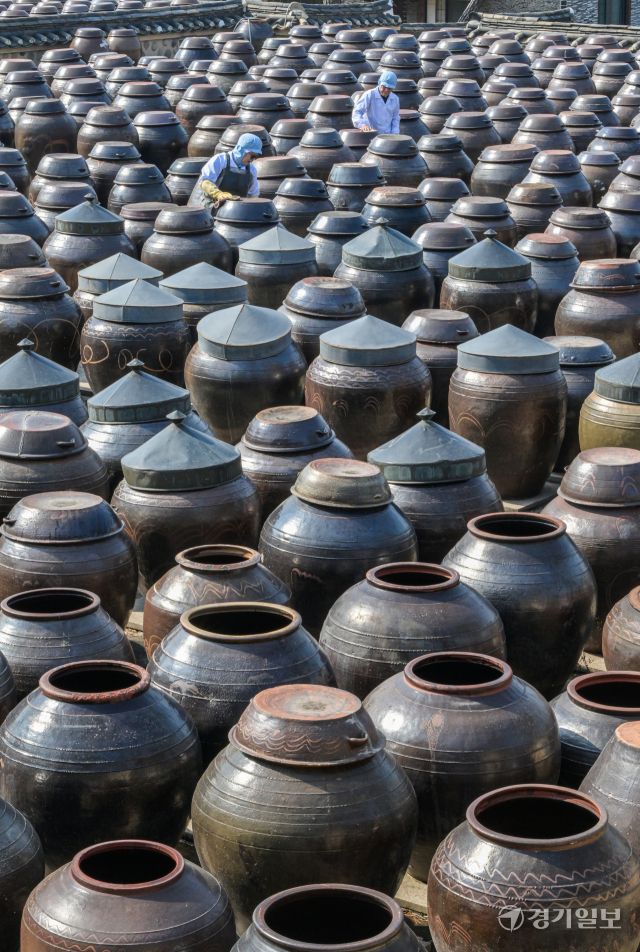 절기상 춘분을 사흘 앞둔 17일 오전 안성시 서일농원 중앙장독대에서 직원들이 항아리에 쌓인 먼지를 닦아내고 있다. 윤원규기자