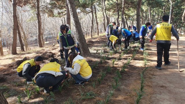 지난 17~19일 정왕동 2140번지 녹지대(신동아아파트 뒤편)에서 진행된 ‘우리 마을 푸른 환경 조성 프로젝트 2’ 현장 모습. 시흥시 제공