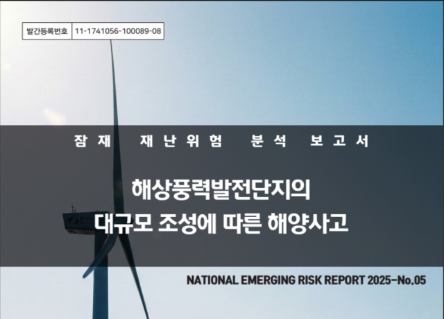 국립재난안전연구원 누리집에 등록된 잠재 재난위험 분석 보고서 표지. 국립재난안전연구원 화면 캡쳐