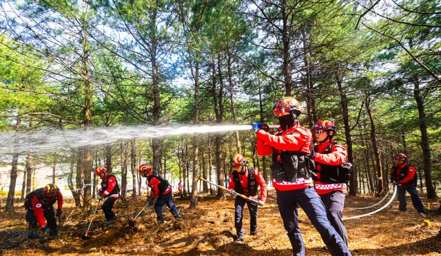 25일 군포시 수리산도립공원 일대에서 열린 ‘2026년 군포시 산불대응 유관기관 합동 통합훈련’에 참가한 북부지방산림청 수원국유림관리소 산불재난 특수진화대원들이 산불 진화 훈련을 펼치고 있다.산불재난 특수진화대는 산불 발생 시 험준한 산악지형에 직접 투입되는 지상 진화 인력으로 방화선 구축과 잔불 정리, 확산 저지 등 현장 대응의 핵심 역할을 맡는다. 특히 강풍과 고온 등 악조건 속에서도 신속한 판단과 팀 단위 전술을 바탕으로 최전선에서 불길과 맞서는 전문 인력이다.조주현기자