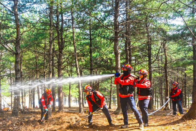 25일 군포시 수리산도립공원 일대에서 열린 ‘2026년 군포시 산불대응 유관기관 합동 통합훈련’에 참가한 북부지방산림청 수원국유림관리소 산불재난 특수진화대원들이 산불 진화 훈련을 펼치고 있다.산불재난 특수진화대는 산불 발생 시 험준한 산악지형에 직접 투입되는 지상 진화 인력으로 방화선 구축과 잔불 정리, 확산 저지 등 현장 대응의 핵심 역할을 맡는다. 특히 강풍과 고온 등 악조건 속에서도 신속한 판단과 팀 단위 전술을 바탕으로 최전선에서 불길과 맞서는 전문 인력이다.조주현기자