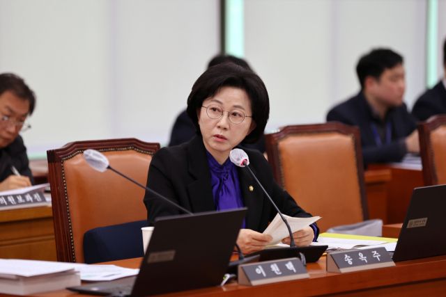 더불어민주당 송옥주 의원