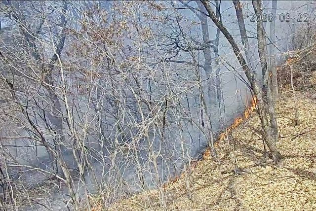 화재 현장. 연합뉴스