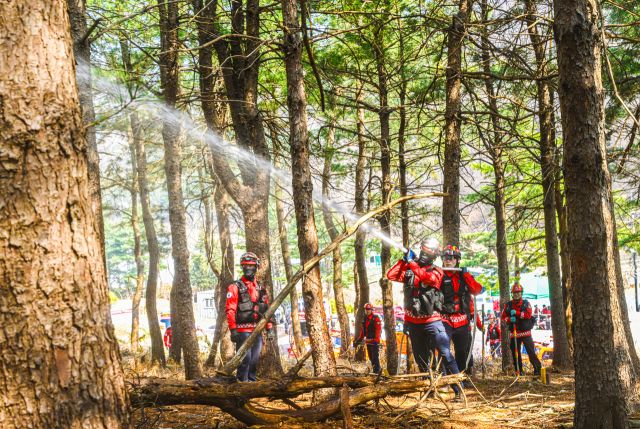 25일 군포시 수리산도립공원 일대에서 열린 ‘2026년 군포시 산불대응 유관기관 합동 통합훈련’에 참가한 북부지방산림청 수원국유림관리소 산불재난 특수진화대원들이 산불 진화 훈련을 펼치고 있다.산불재난 특수진화대는 산불 발생 시 험준한 산악지형에 직접 투입되는 지상 진화 인력으로 방화선 구축과 잔불 정리, 확산 저지 등 현장 대응의 핵심 역할을 맡는다. 특히 강풍과 고온 등 악조건 속에서도 신속한 판단과 팀 단위 전술을 바탕으로 최전선에서 불길과 맞서는 전문 인력이다.조주현기자
