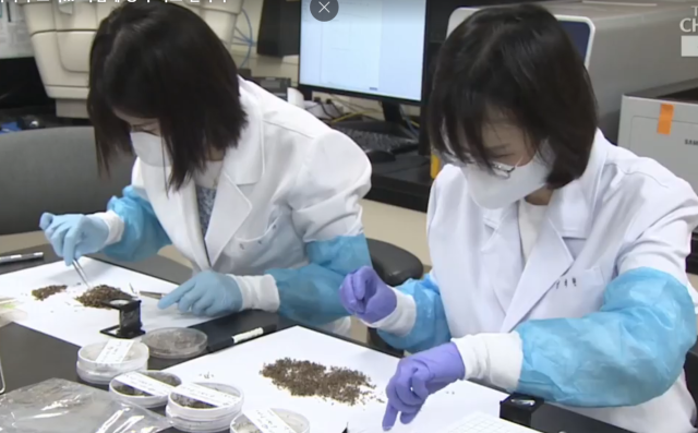 경기도보건환경연구소에서 말라리아 매개모기 관련 연구를 하고 있는 모습. 경기도보건환경연구소